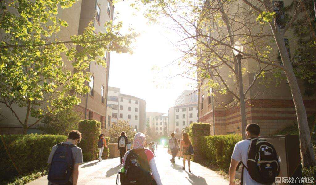 清华志清国际部