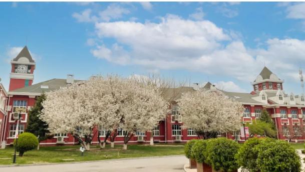 北京爱迪学校