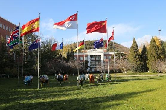 北京市私立汇佳学校