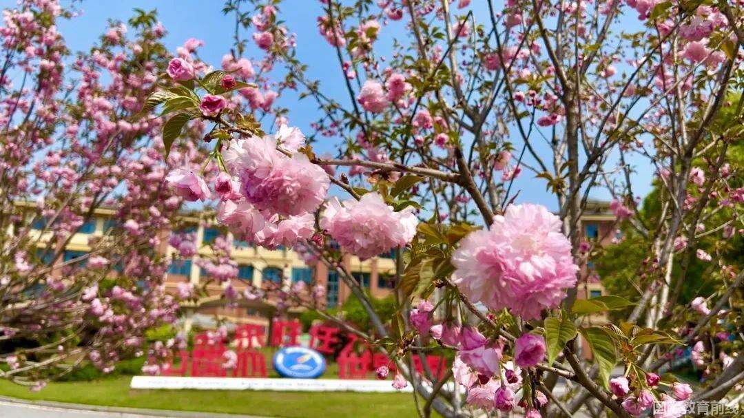 宁乡市碧桂园学校