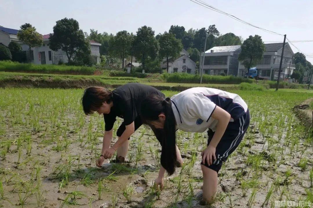 弘益剑桥国际高中