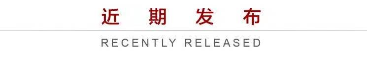 武汉澳新英才学校 | 清明追思，家国永念——祭扫施洋烈士陵园