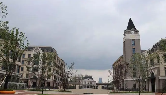 2023年合肥新华公学升学成果情况汇总！