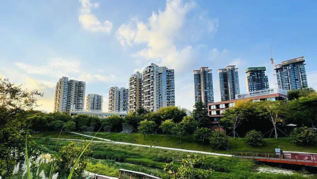 2023-24学年深圳IPC国际校区秋季招生补录中!