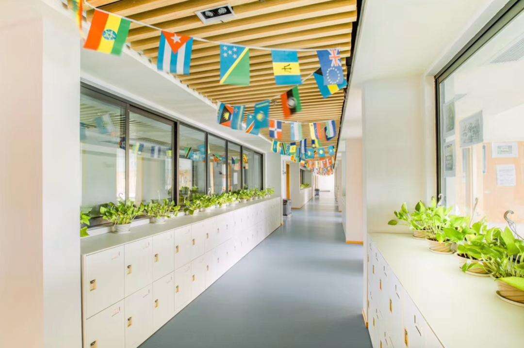 2023-24学年深圳IPC国际校区秋季招生补录中!