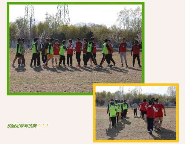 北京新东方国际双语学校