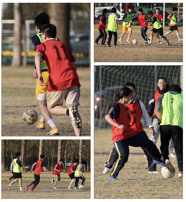 北京新东方国际双语学校