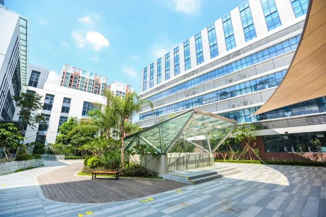 注意！2023年深圳六所IB课程国际学校盘点！