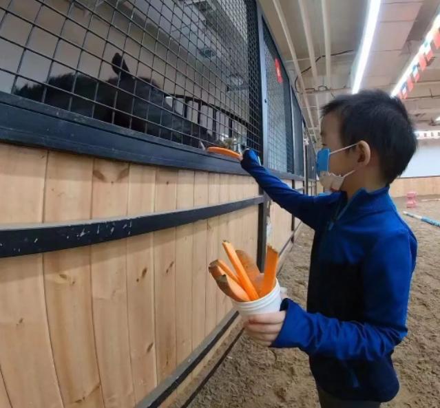 学习马术最重要的是“钞“的能力吗？我和几个马术宝宝的父母聊了此话题
