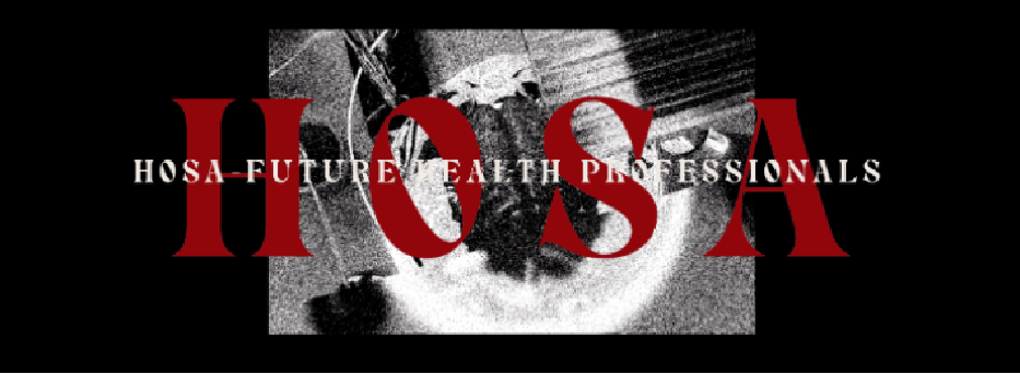 深圳市博纳学校：在比赛中，探索自己的才华，潜力，领导力和团队协作精神