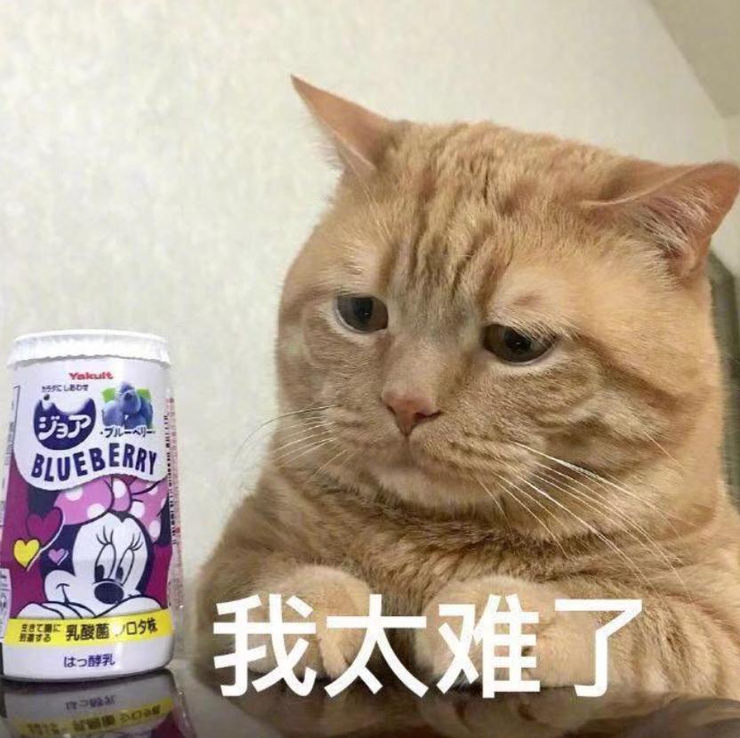 大湾区顶尖国际校官办夏令营来了！错过等一年！
