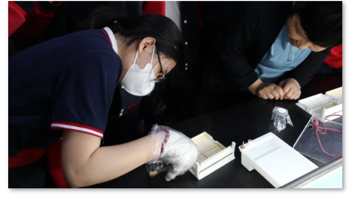 北京中关村外国语学校