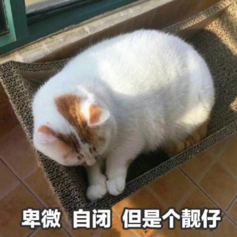 国际学校|想去英国留学，普高二可以转到哪所深圳国际高中？