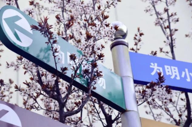 青岛为明学校