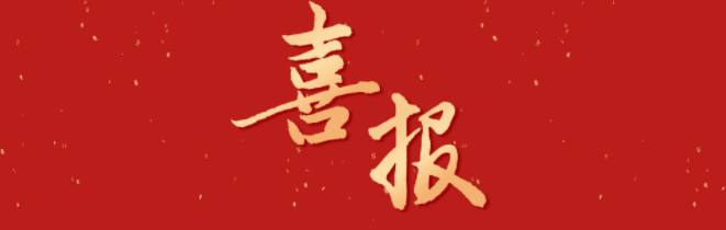 恭喜！上海浦东万科学校23名VSP学子在编程竞赛中荣获奖项，其中两枚金奖