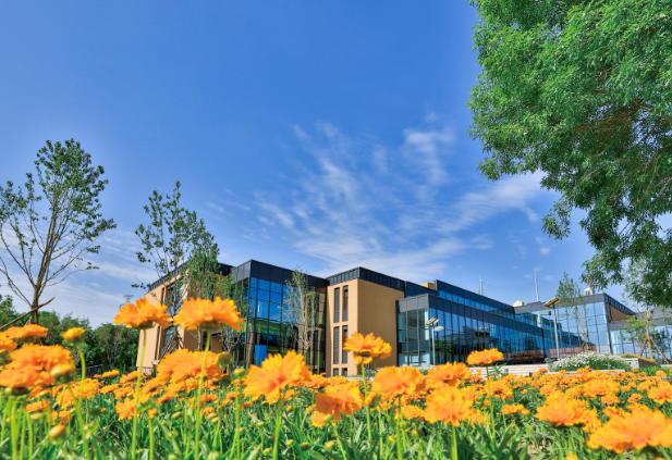 北京海淀凯文学校
