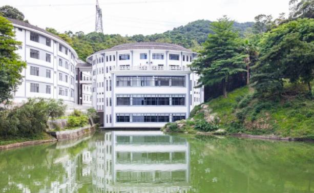 广美附中AIP国际艺术高中