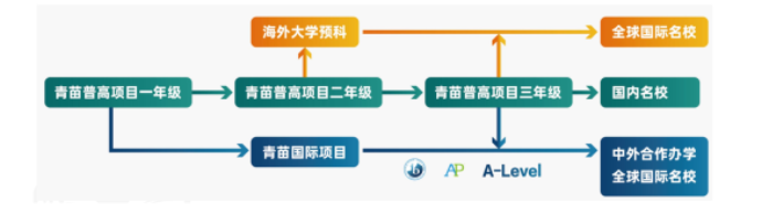 青苗学校