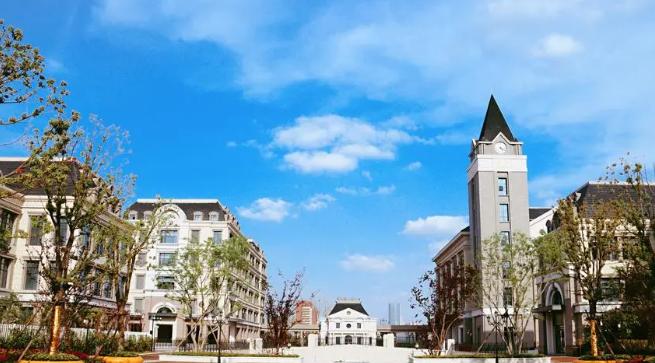 AP考试全面放分！合肥新华公学两位同学取得优异成绩！