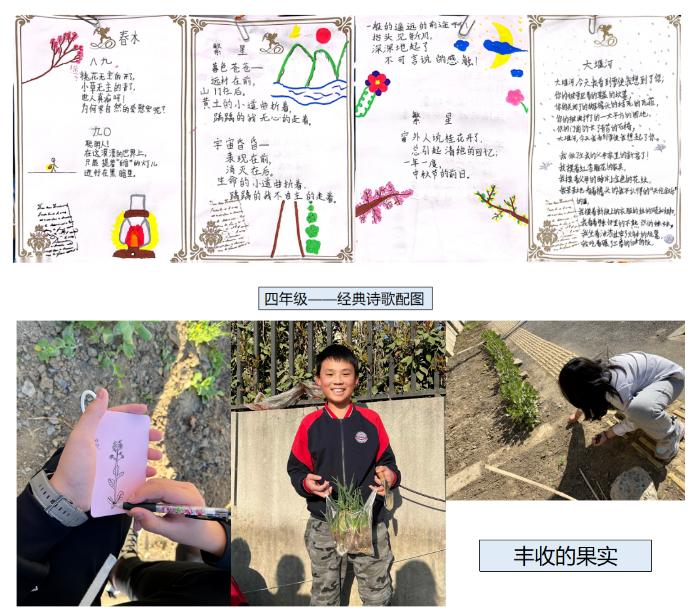 新华公学融合部2023剑桥考试榜单新鲜出炉！PET/KET考试喜获佳绩！