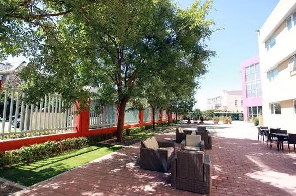 青苗学校顺义校区