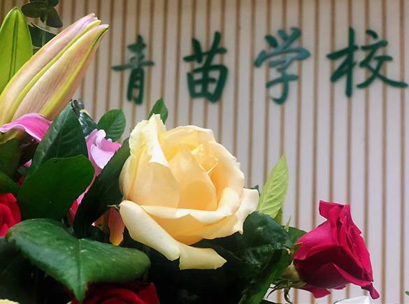 青苗学校