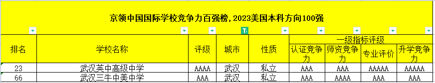 2023年武汉国际高中排名（京领美国留学方向）