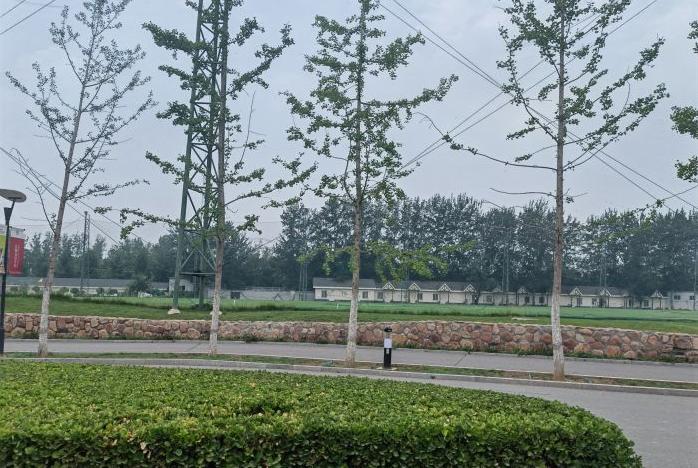 愛迪國際學校校園環(huán)境