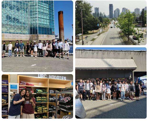 中加枫华国际学校