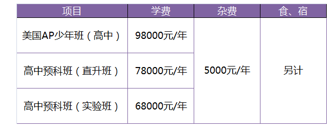 天津南大奥宇国际部