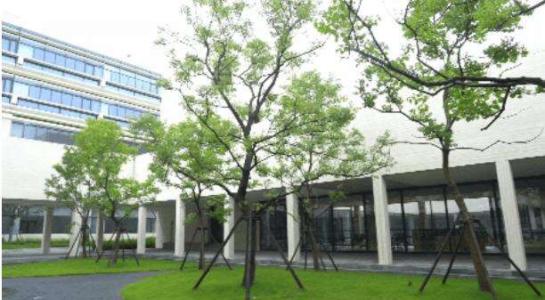 苏州山峰双语学校｜酷暑尽，清凉来