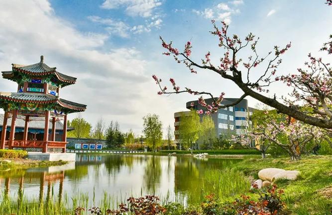 祝贺！IGCSE成绩出炉，益田翰德学校国际部的学子取得优异成绩！
