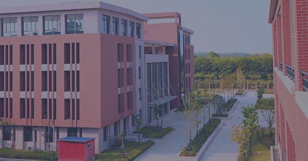 合肥安生学校