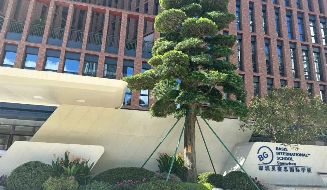 深圳贝赛思国际学校