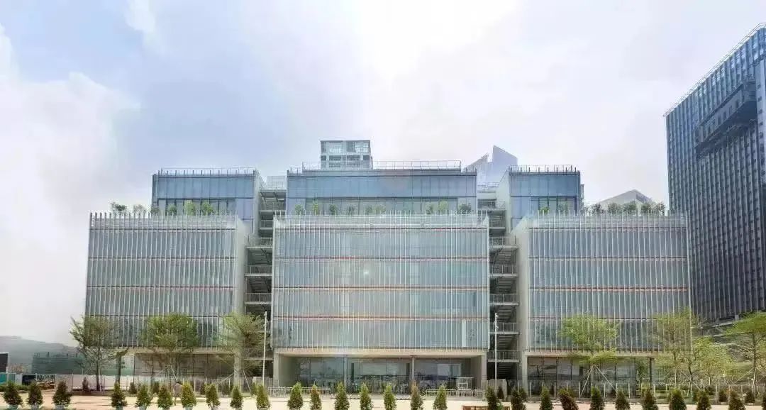 深圳荟同学校