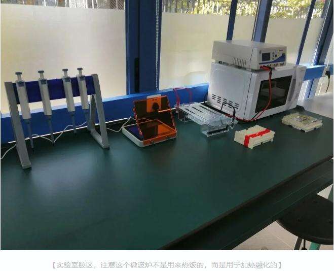 深国交的第一个分子生物学实验室，欢迎使用！