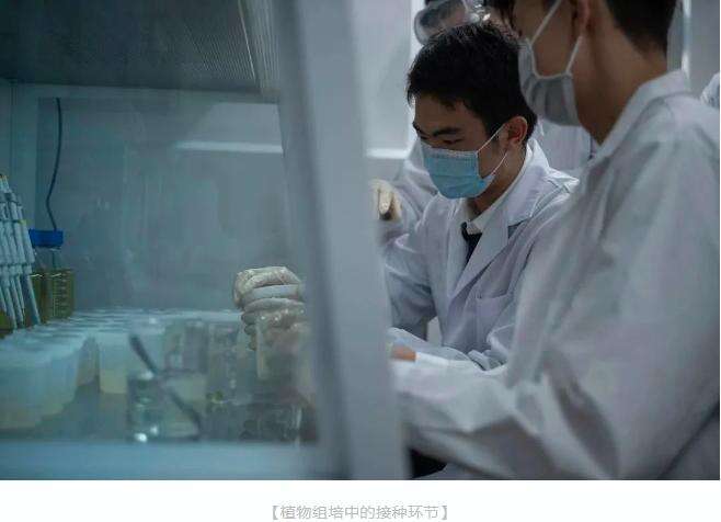 深国交的第一个分子生物学实验室，欢迎使用！