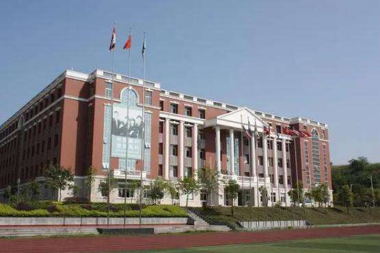 丰收在秋天 | 小枫叶们都收获了什么？