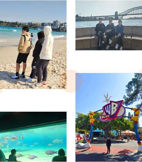 深圳市南山为明学校国际部：记国际部英澳学生澳洲学籍注册之行