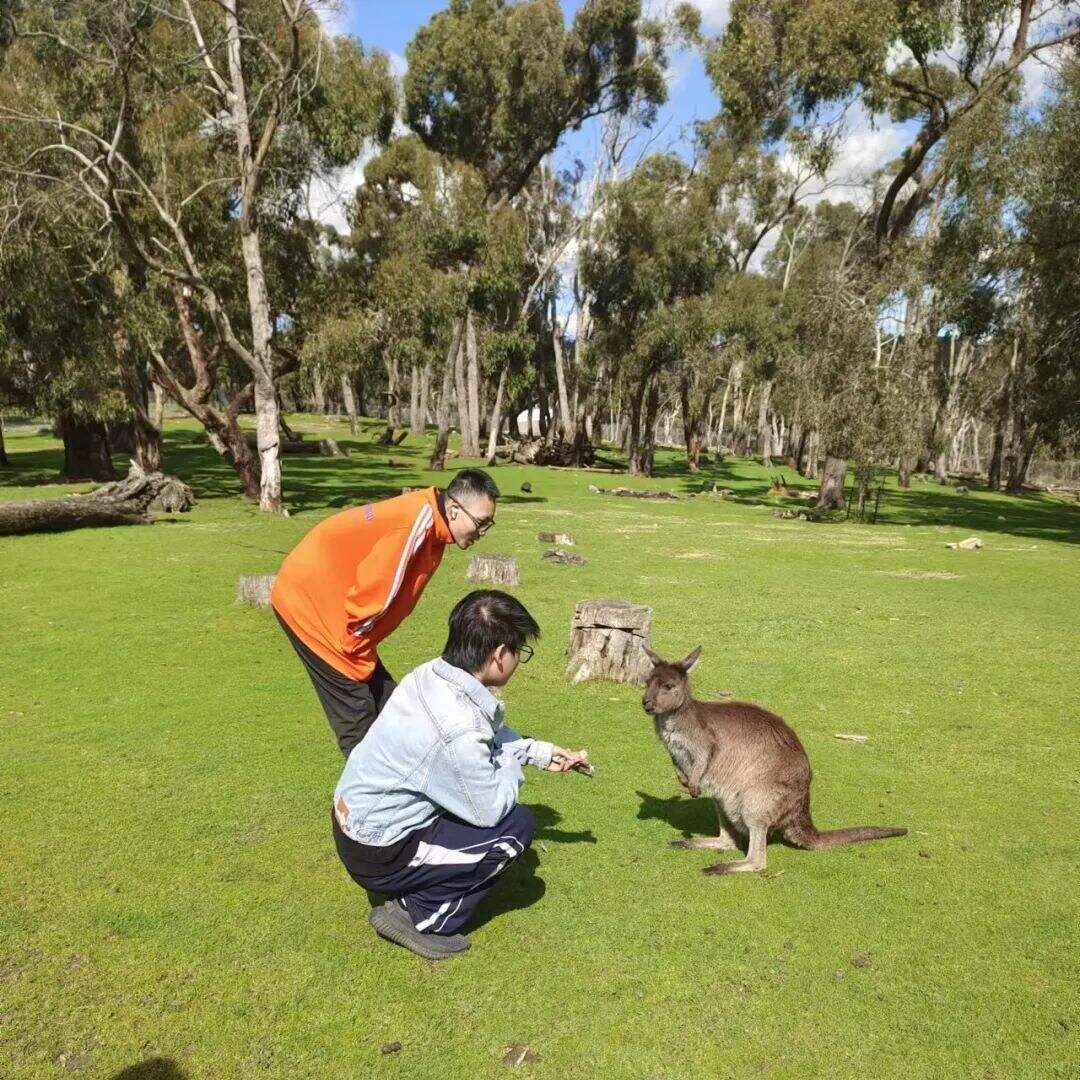 深圳市南山为明学校国际部：记国际部英澳学生澳洲学籍注册之行
