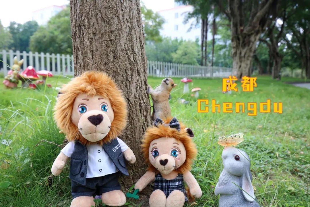 成都市龙泉驿区青苗学校