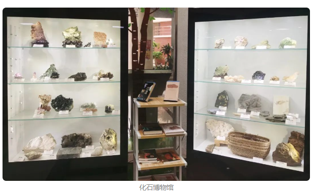 广东碧桂园学校