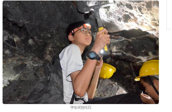 广东碧桂园学校