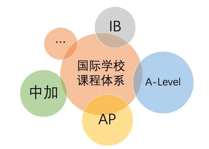 2024年国际学校择校指南，家长必知！附口啤比较好的大连国际学校