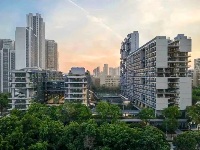 备考攻略！深圳国际交流学院2024-2025年入学考试深度解析！