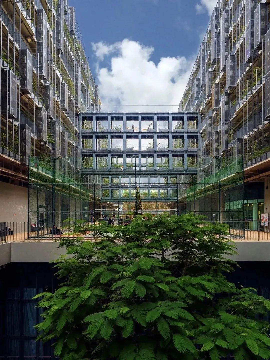 备考攻略！深圳国际交流学院2024-2025年入学考试深度解析！