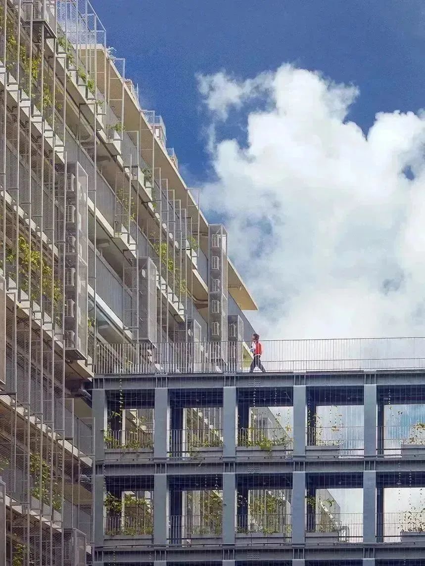 备考攻略！深圳国际交流学院2024-2025年入学考试深度解析！