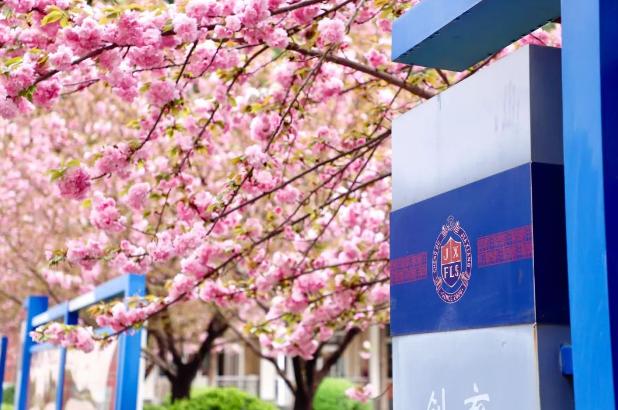 嘉祥外国语学校国际特色课程班