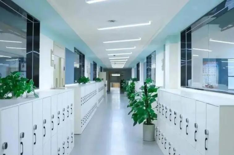 蒙彼利埃外籍人员子女学校(MIS)