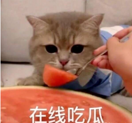吃瓜！爱文世界学校海外两校区被收购！蛇口国际被曝裁员……